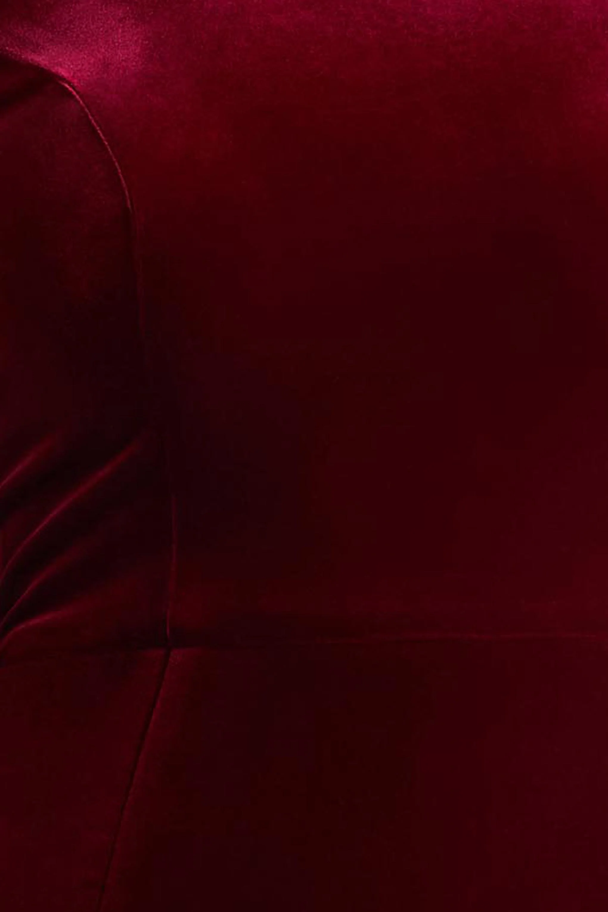 Margot | Burgundy High-Neck Velvet Mini Dress With Embellished Detail - Image 7