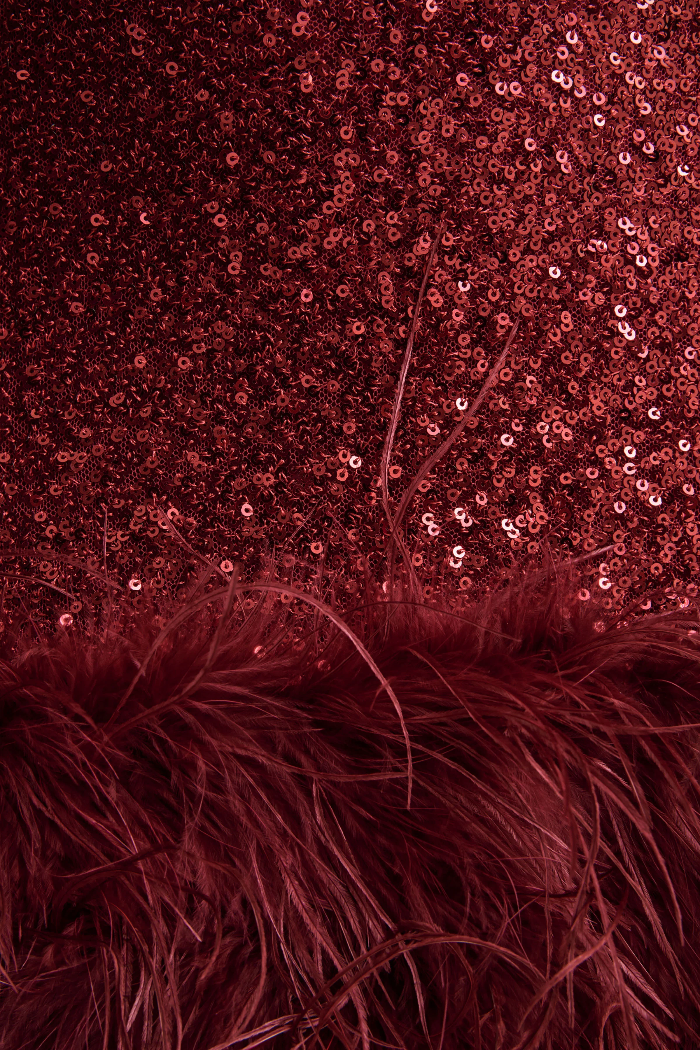 Rosalinda | Burgundy Sequin Square-Neck Mini Dress With Feather Trim - Image 6
