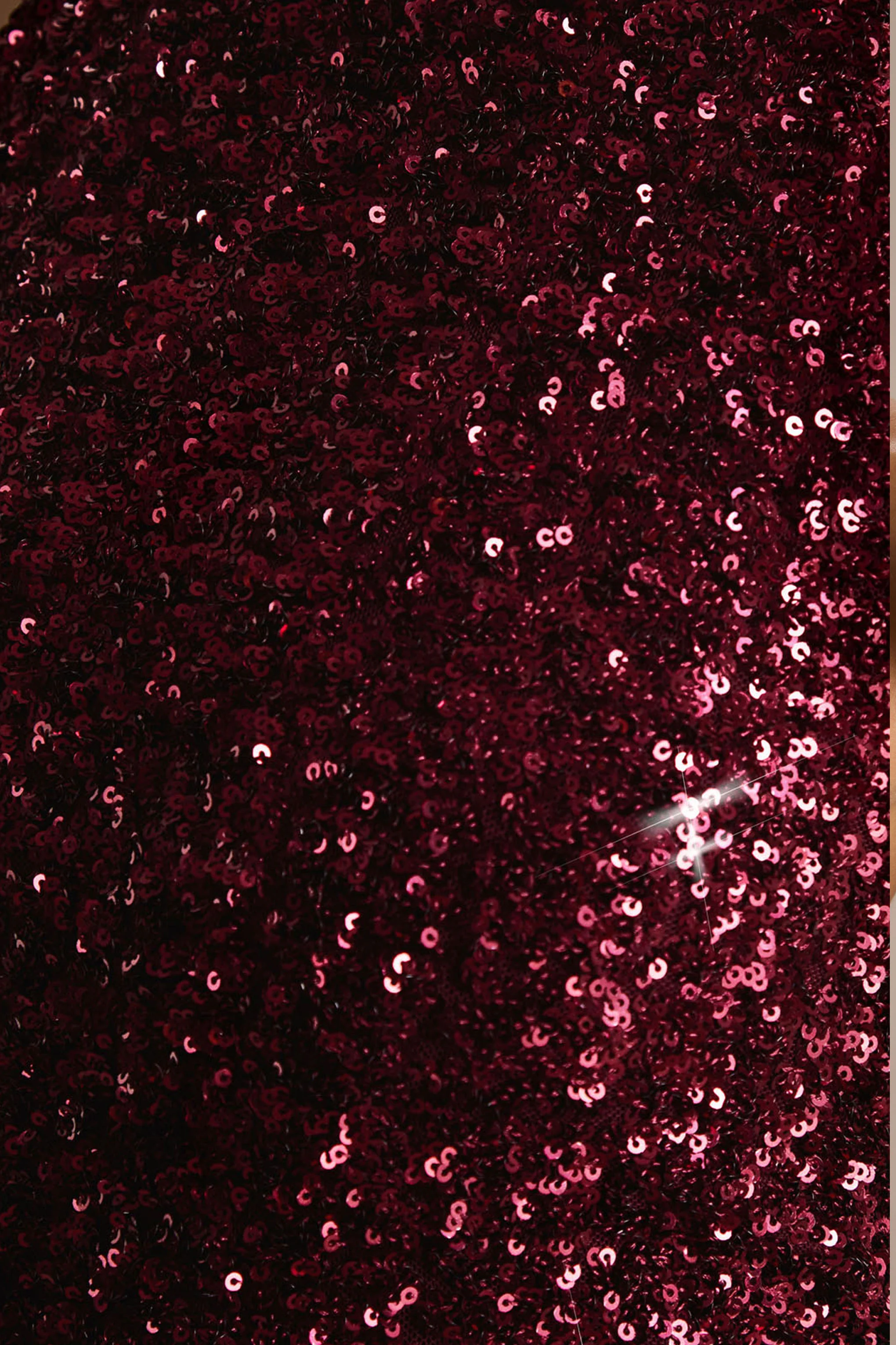 Tulia | Burgundy Sequin High-Neck Maxi Dress - Image 6